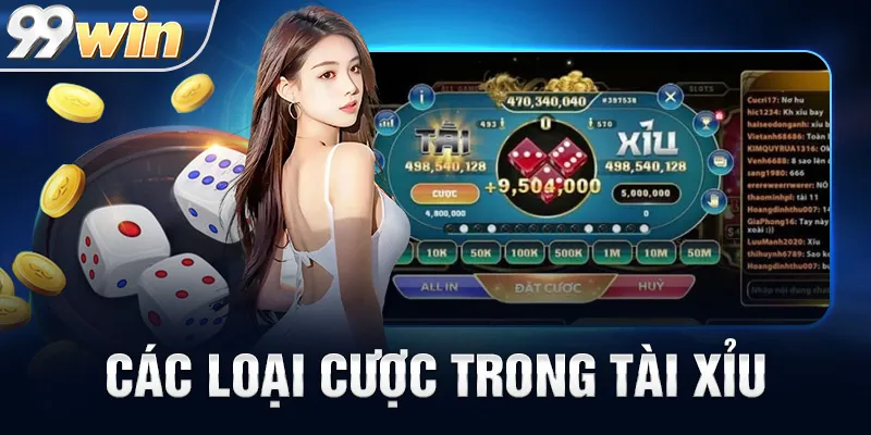 Các Loại Cược Trong Tài Xỉu