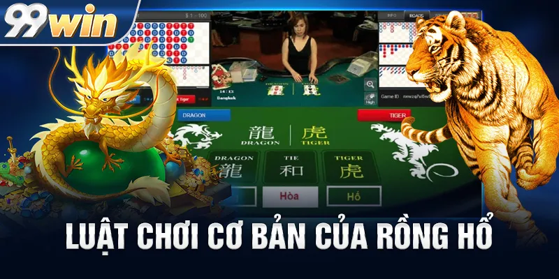 Luật Chơi Cơ Bản Của Rồng Hổ